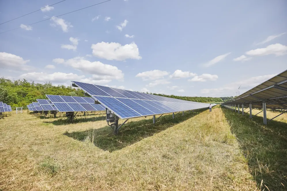 Himmelblick auf einen Solarpark in einer begrünten Umgebung und blauem Himmel mit weißen Wolken.