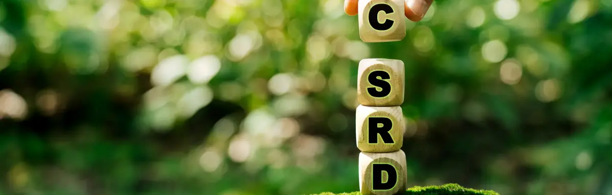 2390392141 Eine Person ordnet Würfel zu einem Turm an in einer grünen Landschaft. Auf den Würfeln sind große Buchstaben die zusammen "CSRD" ergeben.