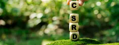 2390392141 Eine Person ordnet Würfel zu einem Turm an in einer grünen Landschaft. Auf den Würfeln sind große Buchstaben die zusammen "CSRD" ergeben.