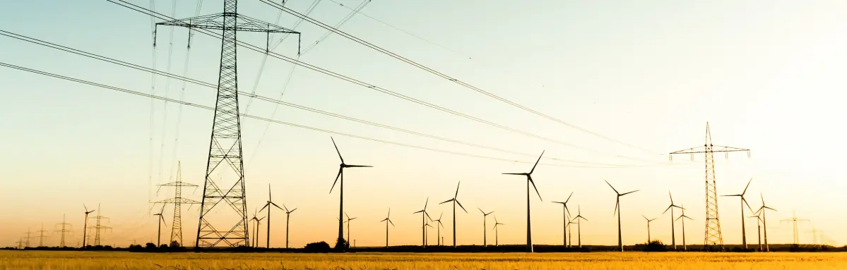 Strommäste und Windräder stehen in einer begrünten Landschaft. Im Hintergrund  steht die Sonne tief.