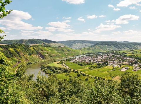 Himmelblick auf eine grüne Landschaft mit Weinbergen und einem Fluss.