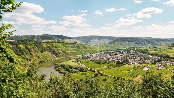 Tal mit Ortschaft Ein Fluss schlängelt sich durch eine malerische Landschaft mit Weinbergen und einer Dorfansiedlung. Umgeben von Hügeln und grünem Laub sorgt die Szenerie für eine idyllische Atmosphäre.