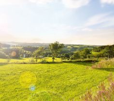 Eine grüne Landschaft mit einem blauen, sonnigen Himmel