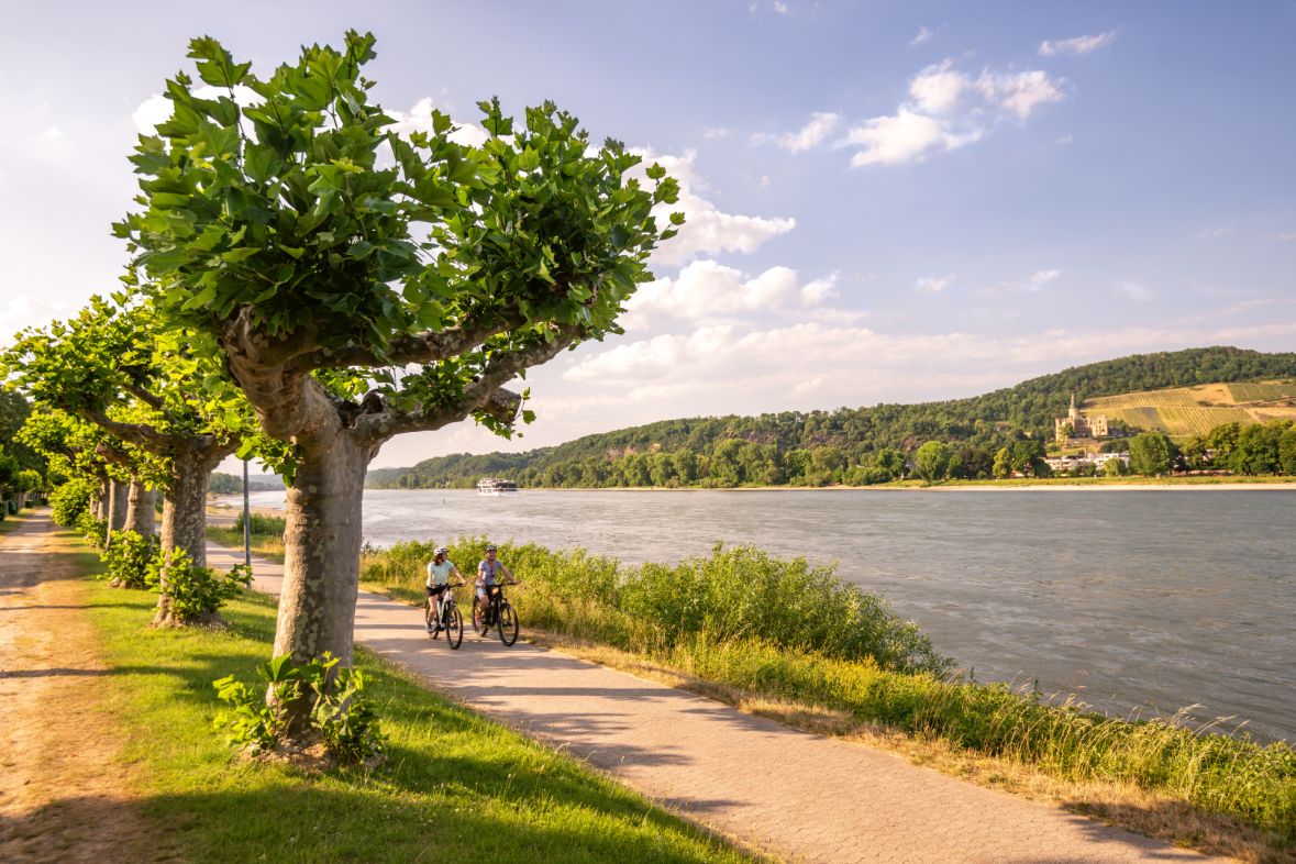 Ein grüner Weg entlang eines Flusses. Zwei Fahrradrfahrer sind auf dem Weg. Bäume befinden sich neben dem Weg und im Hintergrund ist eine grüne Landschaft zu erkennen.