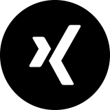 Zum XING Account der evm