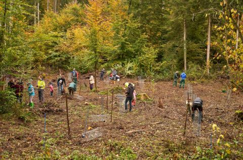 evm-Mitarbeiter und -Mitarbeiterinnen pflanzen neue Bäume im Feisternachter Bachtal