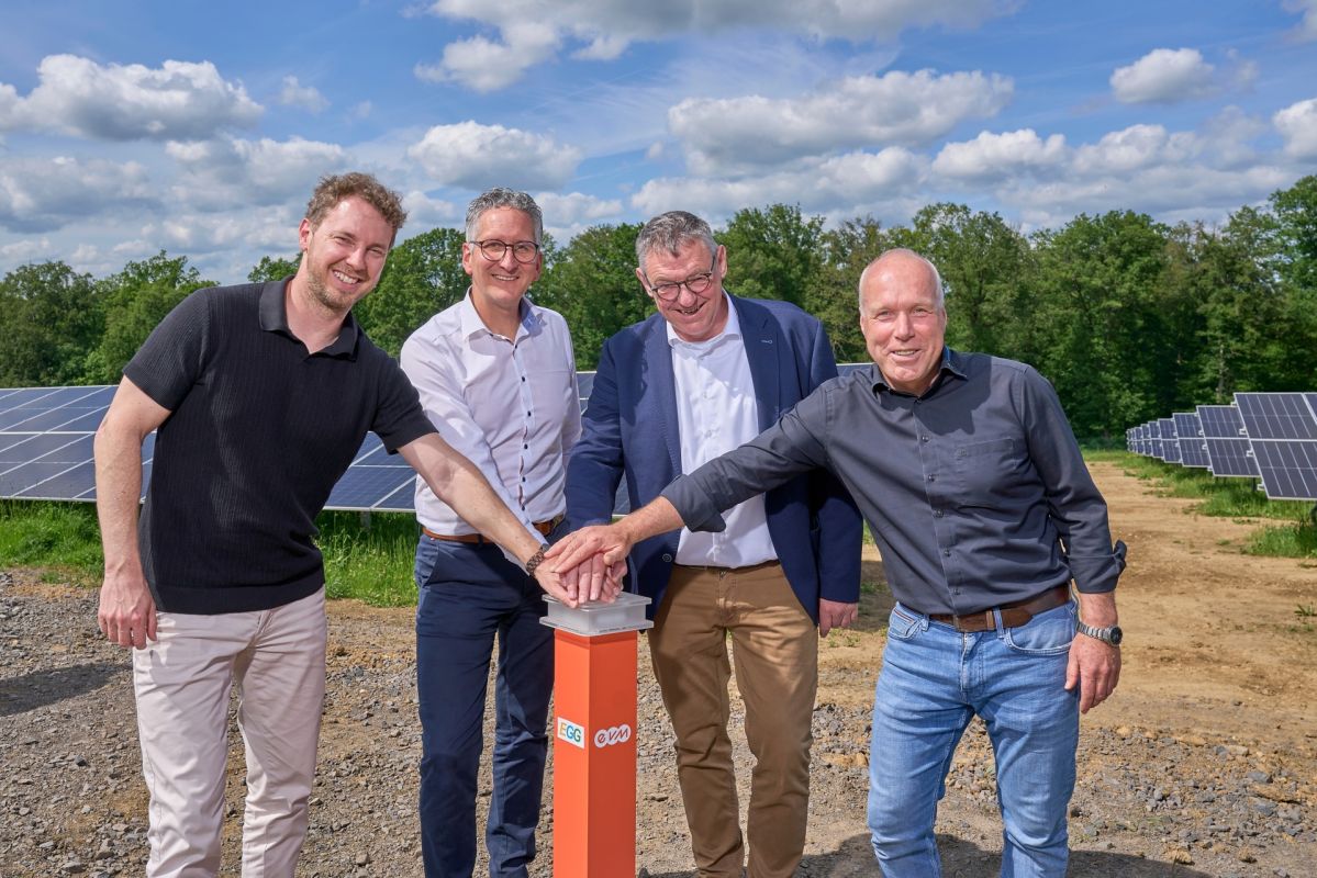 Christoph Hesse, Dr. Steffen Weil, Bürgermeister Martin Bendel und Reinhard Horn stehen vor Solarmodulen im Solarpark Görgeshausen und drücken gemeinsam einen symbolischen Startknopf zur Inbetriebnahme des dritten Bauabschnitts.