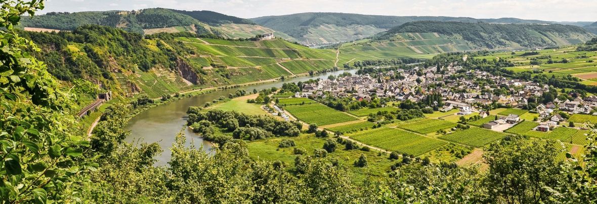 Himmelblick auf eine grüne Landschaft mit Weinbergen und einem Fluss.