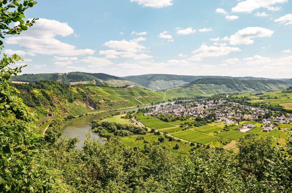 Ein Fluss schlängelt sich durch eine malerische Landschaft mit Weinbergen und einer Dorfansiedlung. Umgeben von Hügeln und grünem Laub sorgt die Szenerie für eine idyllische Atmosphäre.