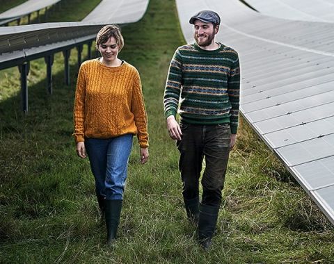 Ein Mann und eine Frau gehen durch einen Solarpark und lächeln freundlich.
