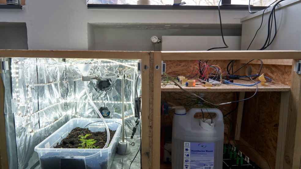 Detailansicht Pflanzenaufzuchtsystem