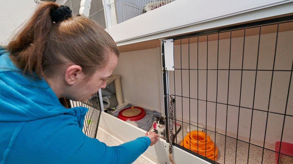 Pfotenhilfe Grevencih