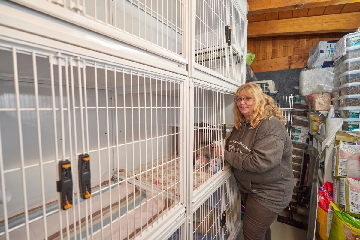 Quarantäneboxen Tierheim Ransbach-Baumbach Glückshunde e.V.