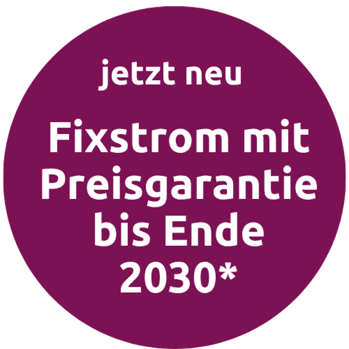 Fixstrom mit Preisgarantie bis Ende 2030