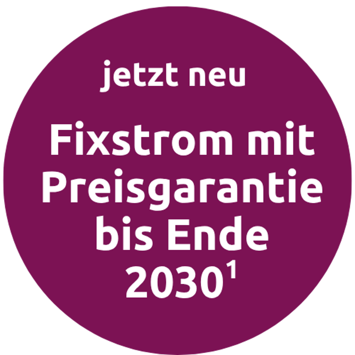 Fixstrom mit Preisgarantie bis Ende 2030