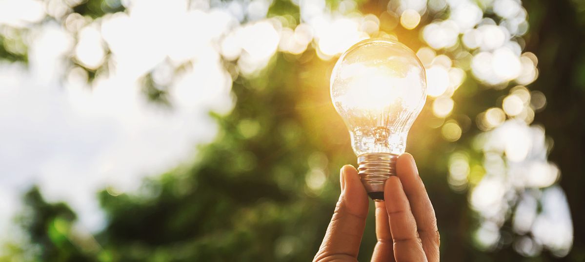 Eine Hand hält eine Glühbirne vor sonnendurchfluteten Bäumen, das Licht reflektiert innerhalb der Glühbirne und betont die strahlende Umgebung.