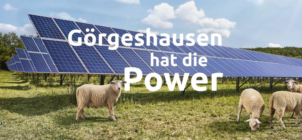 Ein Schaf steht auf einer Wiese vor Solarpaneelen. Darüber liegt der Text: "Görgeshausen hat die Power". Der Himmel ist blau mit einigen Wolken.
